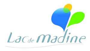 logo madine 2014