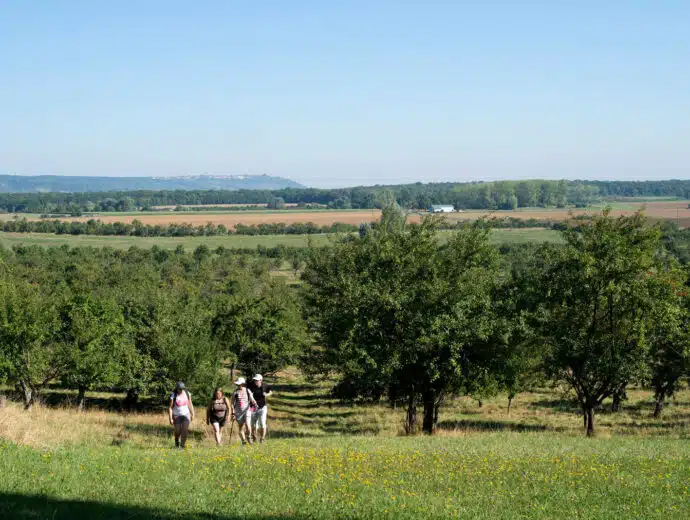 cotes-de-meuse-tourisme