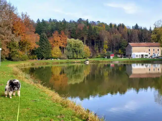 etang-de-peche