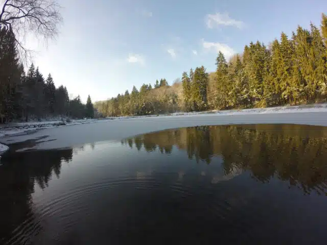 etang-hiver