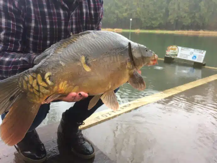 etang-poissonneux