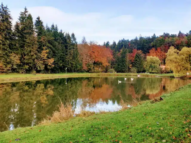etangs-longeau-automne