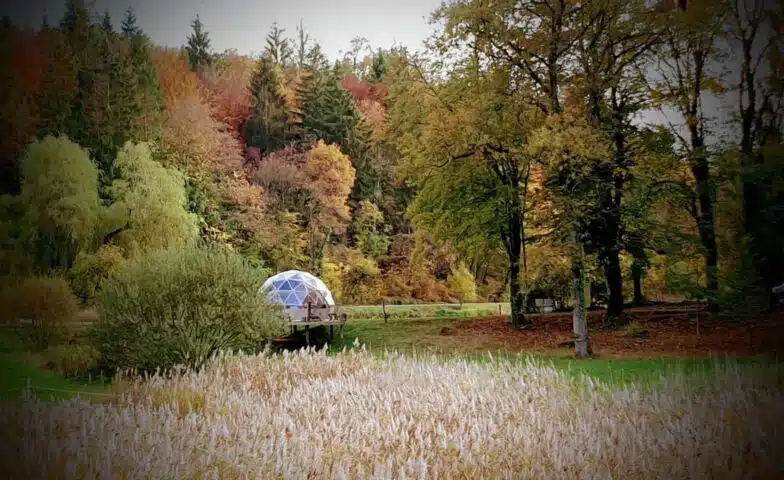 grande-ourse-nature
