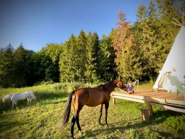 indian-tipi-cheval