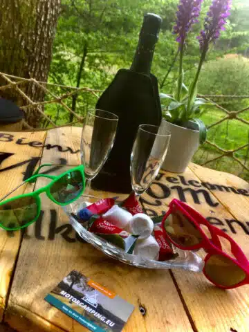 petite-ourse-picnic