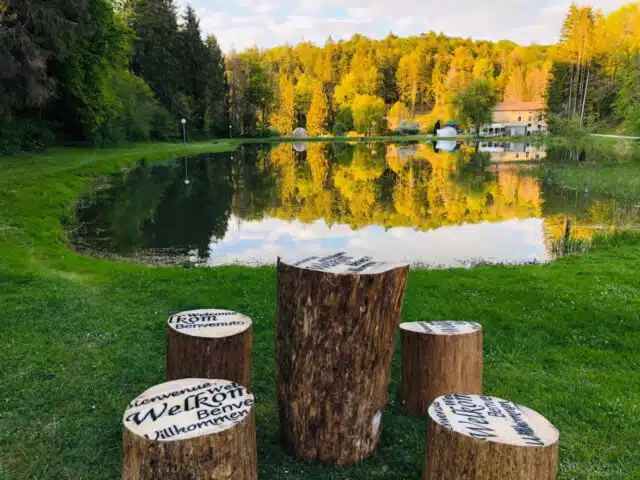 rondins-de-bois